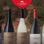 Vinho Cabriz