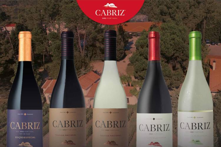 Vinho Cabriz