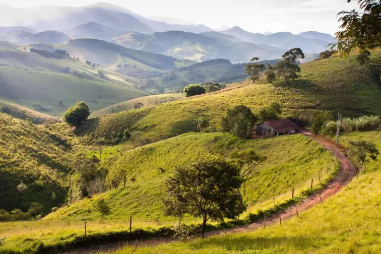 Rota dos Vinhos de Minas