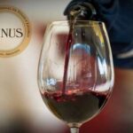 Vinus – Concurso Internacional de Vinhos e Licores: O Brasil Brilha com 82 Premiações